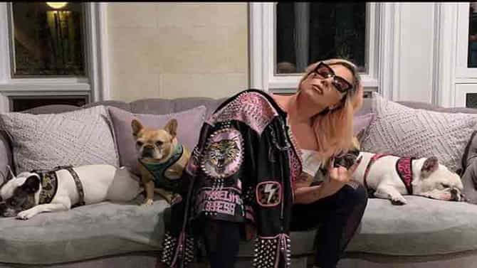 Lady Gaga | लेडी गागाचे चोरी झालेले श्वान अखेर सापडले, शोधणाऱ्याला मिळाले तब्बल ‘इतके’ कोटी!