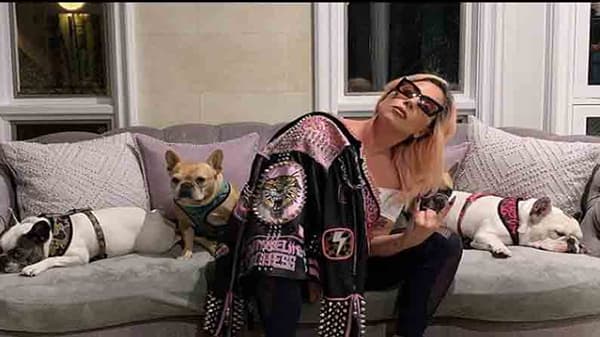 Lady Gaga | लेडी गागाचे चोरी झालेले श्वान अखेर सापडले, शोधणाऱ्याला मिळाले तब्बल ‘इतके’ कोटी!