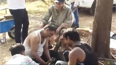 Video : धर्मेंद्र यांचा तो व्हिडीओ सोशल मीडियावर चर्चेत, चाहतेही म्हणाले व्वा!