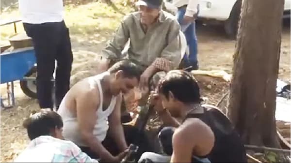 Video : धर्मेंद्र यांचा तो व्हिडीओ सोशल मीडियावर चर्चेत, चाहतेही म्हणाले व्वा!