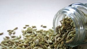 Fennel Tea : पचनसंबंधी समस्यांपासून मुक्त होण्यासाठी बडीशेप चहाचे करा सेवन