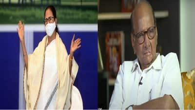 ममता बॅनर्जींना राष्ट्रवादीचा पाठिंबा, शरद पवार बंगालच्या शेवटच्या टप्प्यातील प्रचाराला जाण्याची शक्यता : नवाब मलिक