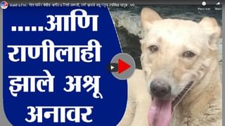 4 मिनिटे 24 हेडलाईन्स | 4 Minutes 24 Headlines | 1 March 2021