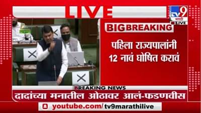 Budget Session 2021 : 12 आमदारांसाठी विदर्भ-मराठवाड्याला ओलीस ठेवलं तर जनता माफ करणार नाही : फडणवीस