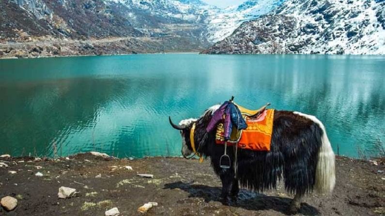 हिमालयातील सुंदर घाटीची सैर करा अवघ्या 11 हजार रुपयांत!