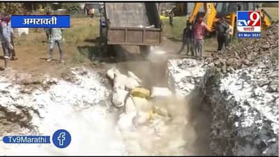 Amravati | बर्ड फ्लू संक्रमित फार्मवरील 29 हजार कोंबड्या नष्ट