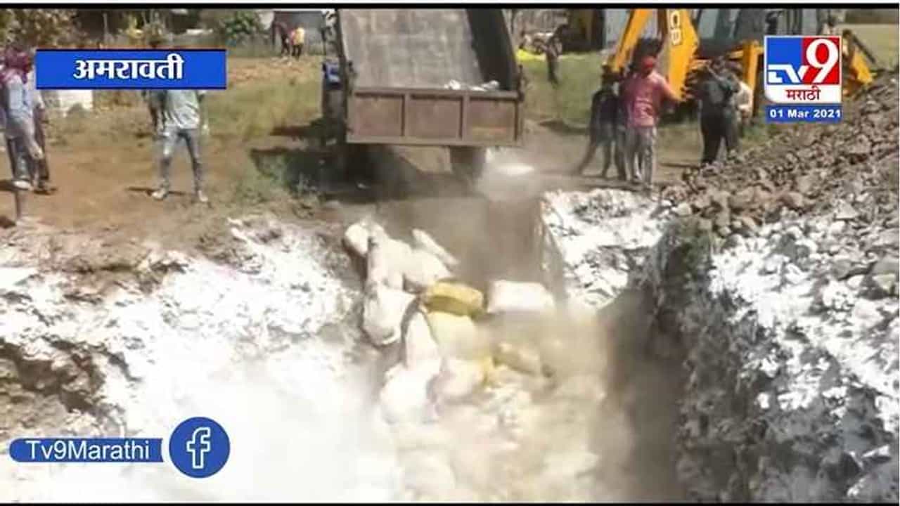 Amravati | बर्ड फ्लू संक्रमित फार्मवरील 29 हजार कोंबड्या नष्ट