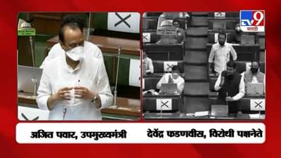 Vidhansabha Session 2021 | विधानसभेत खडाजंगी, दादांच्या पोटात, तेच ओठात; फडणवीसांचा टोला