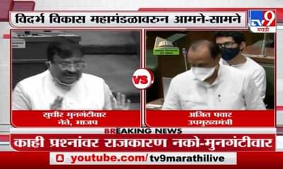 Special Report | विदर्भ, मराठवाडा विकास महामंडळावरून विधानसभेत फडणवीस-अजितदादांमध्ये खडाजंगी!