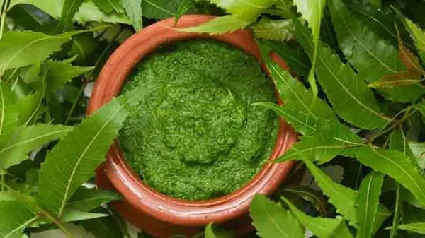 त्वचेपासून ते पोटांच्या विविध आजारावर गुणकारी कडुलिंब