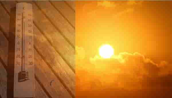 Maharashtra Weather Alert : विदर्भात सर्वाधिक तापमानाची नोंद, पुढचा आठवडा आग लागणार?