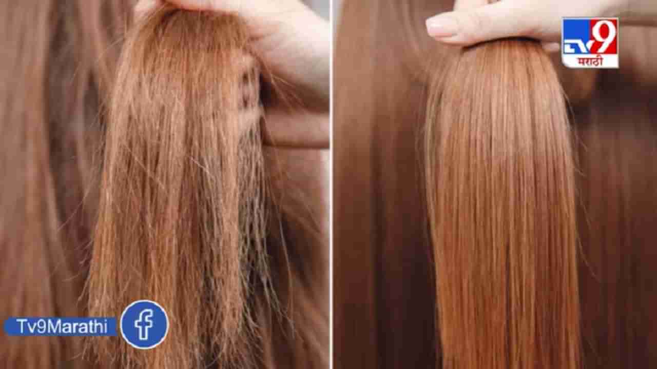 Beauty Tips | Hair Straightening म्हणजे काय? आणि स्ट्रेटनिंग करण्याची योग्य पद्धत कुठली?