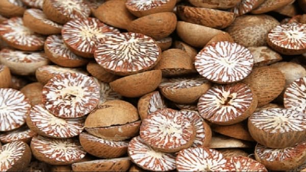 सुपारी खाण्याचे हे आश्चर्यकारक फायदे तुम्हाला माहिती आहेत का?