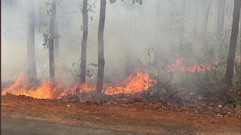 ही सूचना आगीच्या 9 दिवसानंतर केंद्रीय मंत्री यांनी जारी केली.