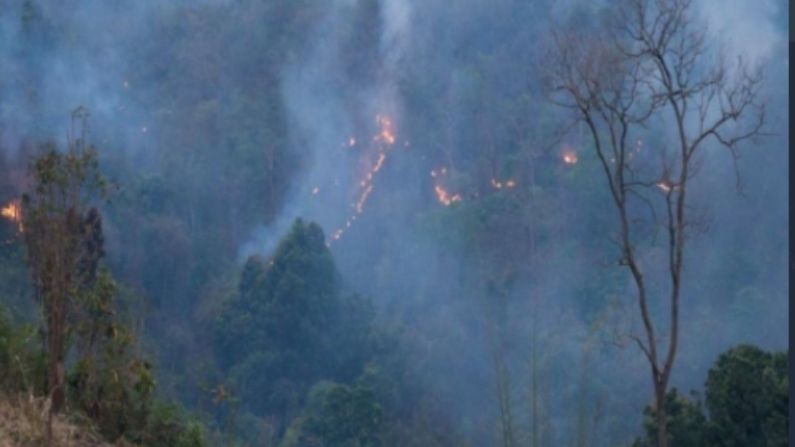 आगीनंतर अनेकांनी प्रशासनाकडे तक्रार केली.