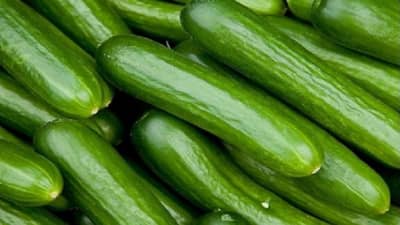 उन्हाळ्यात काकडी खाण्याचे हे फायदे तुम्हाला माहिती आहेत का? वाचा