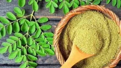 Drumstick Leaf : शेवग्याच्या पानांपासून मिळवा मधुमेहापासून मुक्ती, जाणून घ्या याचे फायदे