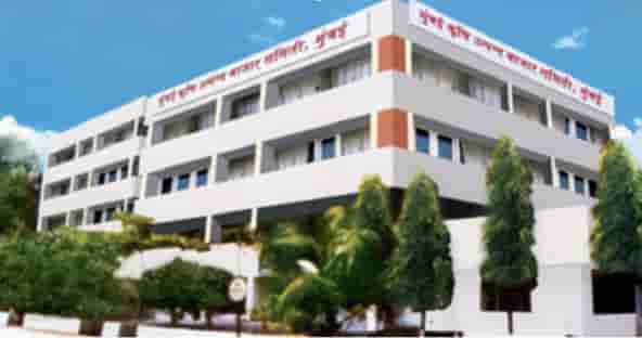 नवी मुंबईत APMC मध्ये बोगस कोडचा वापर, कोट्यवधींचा महसूल बुडाला, सायबर क्राईमकडे तक्रार, पाहा नेमका काय प्रकार...?
