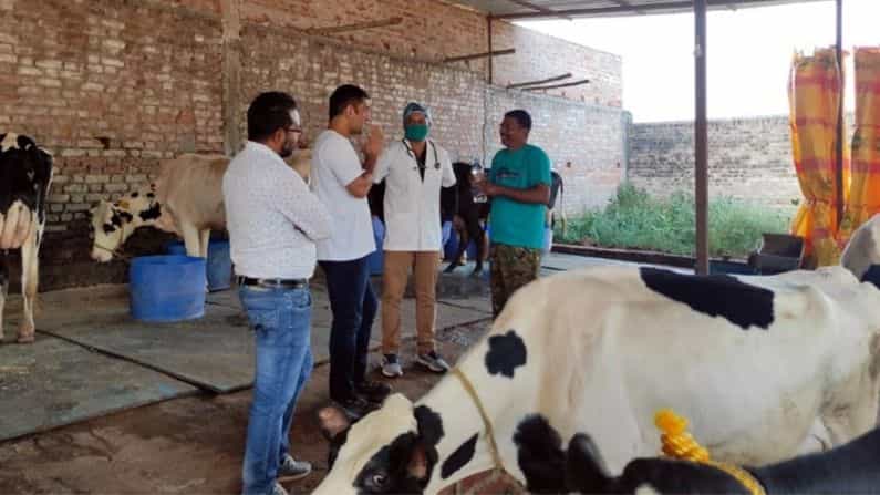 महेंद्रसिंह धोनी, क्रिकेट विश्वातील यशस्वी कर्णधार. क्रिकेटमधून निवृत्ती घेतल्यानंतर धोनीने सामाजिक जीवनात महत्वपूर्ण योगदान दिलं आहे. धोनीच्या शिरपेचात आणखी एक मानाचा तुरा रोवला गेला आहे. धोनीला पशुपालन क्षेत्रातील सर्वोत्तम कामगिरी आणि योगदानासाठी सर्वश्रेष्ठ गोपालक पुरस्काराने सन्मानित करण्यात आलं.