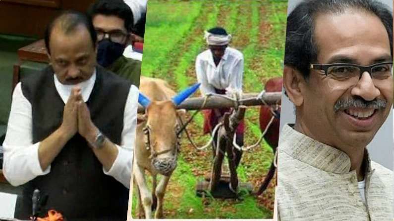 Maharashtra Budget on Agriculture | शुन्य टक्के दरानं पीक कर्ज, बाजार समित्यांचं बळकटीकरण, बजेटमध्ये शेतीला काय मिळालं?