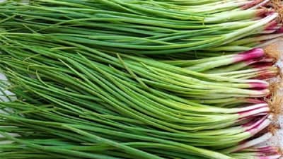 काद्यांची पात खाणे टाळताय? थांबा, अगोदर ‘हे’ मोठे फायदे जाणून घ्या!