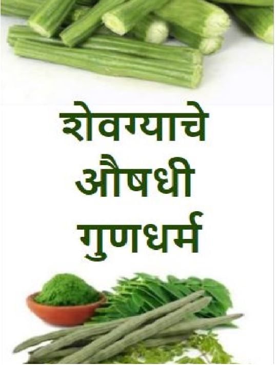 शेवग्याचे औषधी गुणधर्म TV9 Marathi Health And Medicinal Use Of