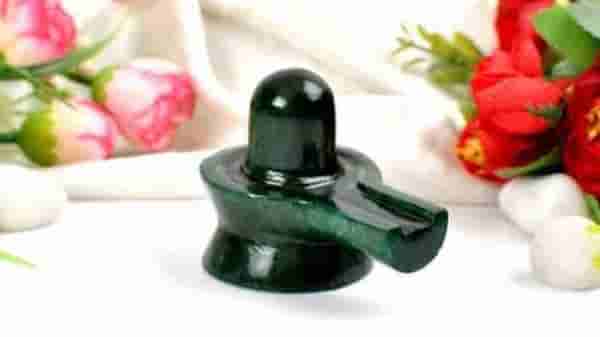 Mahashivratri 2021 | घरात शिवलिंग ठेवण्यापूर्वी वाचा महत्त्वाचे नियम, अन्यथा निर्माण होतील अनेक अडचणी!
