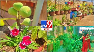 PHOTO: उरलेले अन्न आणि सुका कचऱ्याचा वापर, कर्जतमध्ये 300 झाडं असलेलं अनोखं टेरेस गार्डन