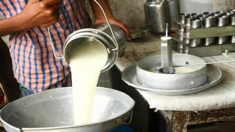 Amul Milk Price : अमूल दूध महागले; प्रति लिटर 2 रुपयांनी वाढ, नवे दर 1 जुलैपासून लागू होणार