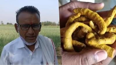 चंद्रपूरच्या प्रगतशील शेतकऱ्याची उत्कृष्ठ नियोजनाची सांगड, वर्षाकाठी कमावला 50 लाखांचा नफा