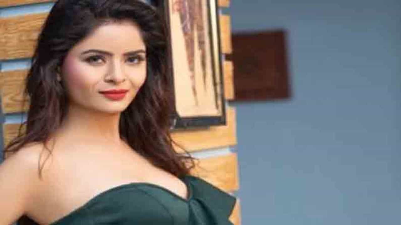 ‘गंदी बात’ फेम गहना वशिष्ठची तब्येत पुन्हा बिघडली, अश्लील व्हिडीओ प्रकरणी अद्याप तुरुंगात!