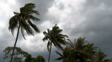 Weather Update : पालघरला रेड ॲलर्ट, मुंबईसह कोकण ते उत्तर महाराष्ट्रात मुसळधार, IMD कडून नवा अंदाज जारी