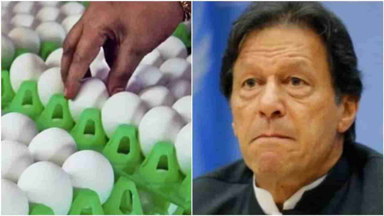 1000 रुपयांना आलं आणि 30 रुपयाला अंडे, महागाईने पाकिस्तानमध्ये उपासमारीची वेळ