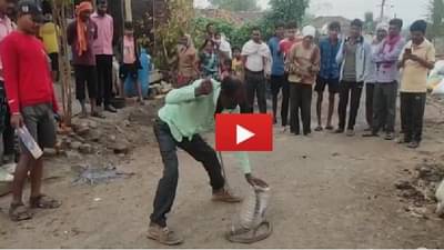 VIDEO | झोपायच्या तयारीत असताना कुटुंबाला नागोबाचं दर्शन, रात्र घराबाहेर काढण्याची वेळ