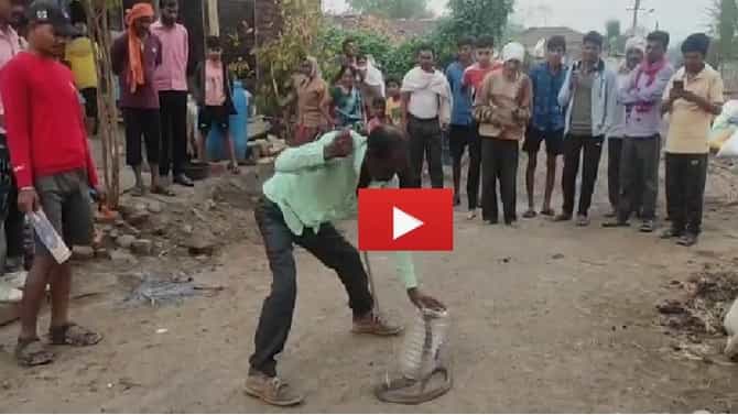 VIDEO | झोपायच्या तयारीत असताना कुटुंबाला नागोबाचं दर्शन, रात्र घराबाहेर काढण्याची वेळ