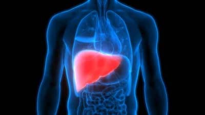 Fatty Liver | मद्यपान न करणाऱ्यांनाही होऊ शकते ‘फॅटी लिव्हर’ची समस्या, जाणून घ्या याची कारणे-लक्षणे आणि उपाय...