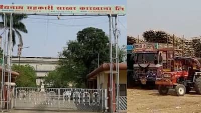 19 महिने पगारच नाही; कामगारांनी पंकजा मुंडे यांचा कारखाना बंद पाडला