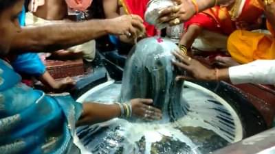 Mahashivratri 2021 | शिवलिंगवर दूध का चढवलं जातं, कशी सुरु झाली ही परंपरा?, जाणून घ्या