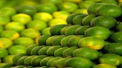उन्हाळ्यात शरीराला थंड ठेवायचंय तर हे फळ जरुर खा, होतील भरपूर फायदे