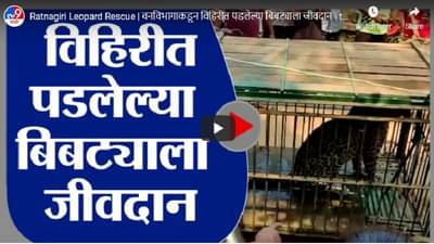 Ratnagiri Leopard Rescue | वनविभागाकडून विहिरीत पडलेल्या बिबट्याला जीवदान