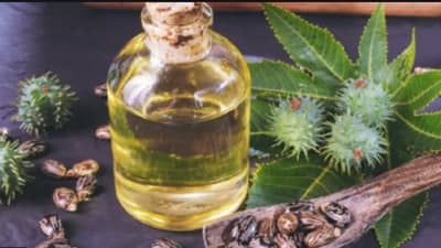 केसांच्या वाढीसाठी लाभदायी एरंडेल तेल, वाचा याचे फायदे !