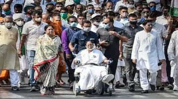 West Bengal Election 2021 : 'जखमी वाघिण जास्त घातक असते', व्हीलचेअरवरुन ममता बॅनर्जींची डरकाळी!