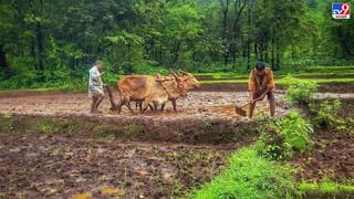 शेतकऱ्यांना ट्रॅक्टरसाठी कृषी यांत्रिकीकरण उप अभियानातून 1 ते 1.25 लाख रुपयांचं अर्थसहाय्य, अर्ज कसा करावा?