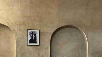 शेणापासून पेंट बनवण्याचा व्यवसाय सुरु करा, ट्रेनिंग अवघ्या 5000 रुपयांत