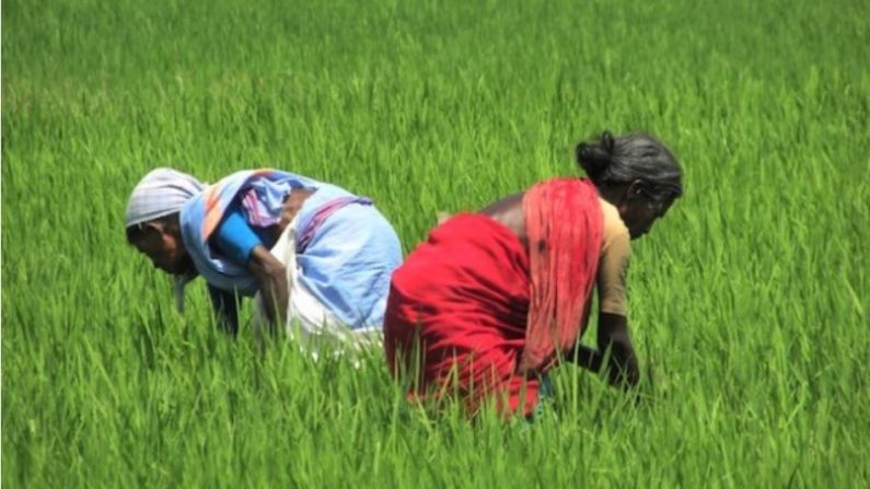 प्रधानमंत्री कृषी सिंचन योजनेचा लाभ घ्या, छोट्या शेतकऱ्यांना थेट 80 टक्के अनुदान मिळणार