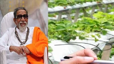 बाळासाहेब ठाकरे कृषी व्यवसाय व ग्रामीण परिवर्तन प्रकल्पासाठी 10 कोटींचा निधी मंजूर