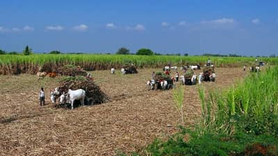 गावात शेतीशिवाय शानदार कमाईची संधी, या योजनेअंतर्गत मोदी सरकारकडून 3.75 लाख रुपये