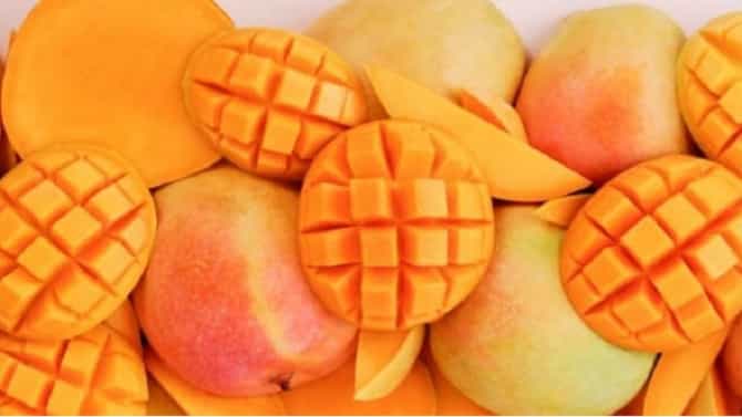 आंबा खाल्ल्याने वजन वाढतं? जाणून घ्या न्यूट्रिशनिस्टचे मत....