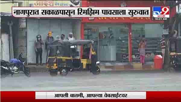 Nagpur Rain | नागपुरात सकाळपासून रिमझिम पावसाला सुरुवात