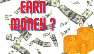 घर बसल्या 10 हजारात सुरू करा हा बिझनेस, महिन्याला कमवाल 30 हजार रुपये